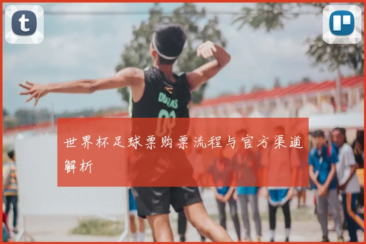 世界杯足球票购票流程与官方渠道解析